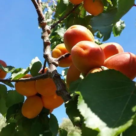 Casa vacanze I Gerani Bilocale Deluxe Vieste
